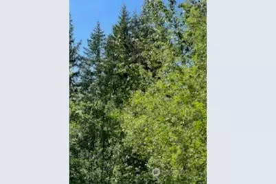 0 Xxxx Lilly Road NE, Olympia, WA 98506 - Photo 1