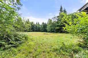 341 Frogner Rd, Adna, WA 98532 - Photo 25