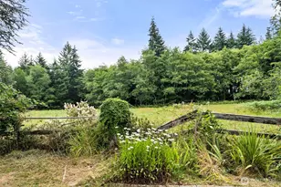 341 Frogner Rd, Adna, WA 98532 - Photo 27