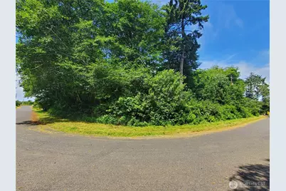 0 Woodland Lane, Copalis Beach, WA 98535 - Photo 5