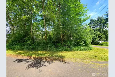0 Woodland Lane, Copalis Beach, WA 98535 - Photo 3