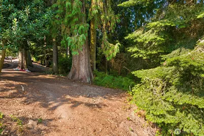 2689 SE Camano Drive, Camano Island, WA 98282 - Photo 11