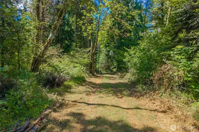 14333 Beaver Drive SE, Rainier, WA 98576 - Photo 3