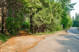 14333 Beaver Dr SE, Rainier, WA 98576 - Photo 1