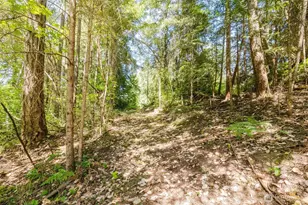 15503 Cedar Park Road SE, Olalla, WA 98359 - Photo 29