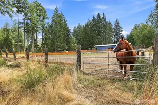 190 E Rasor Pl, Belfair, WA 98528 - Photo 27