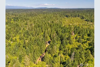 16419 118th Street NW, Gig Harbor, WA 98329 - Photo 31