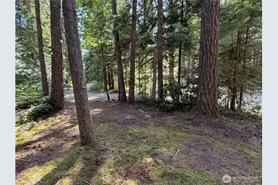 1167 Alder Lane, Sumas, WA 98295 - Photo 17