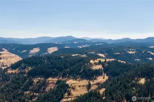 5112 Lewis Peak Rd, Waitsburg, WA 99361 - Photo 33