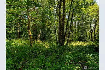 15310 231st Street Ct E, Graham, WA 98338 - Photo 7