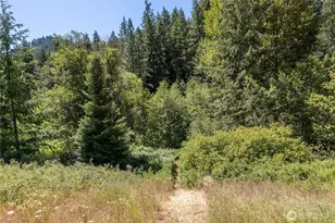 10365 Merry Canyon Rd, Leavenworth, WA 98826 - Photo 27