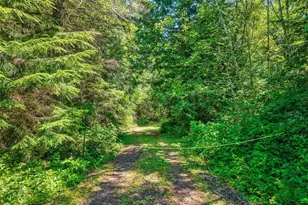 377 Reuben Johnson Rd, Port Ludlow, WA 98365 - Photo 39
