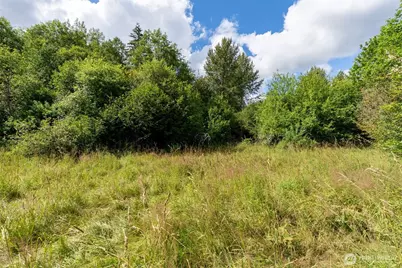28909 State Route 706, Ashford, WA 98304 - Photo 5