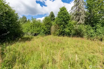 28909 State Route 706, Ashford, WA 98304 - Photo 35