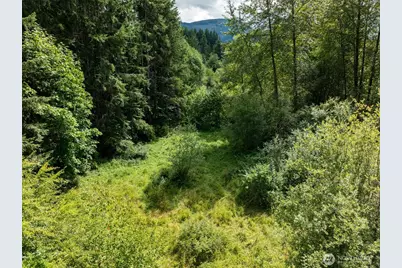 28909 State Route 706, Ashford, WA 98304 - Photo 11