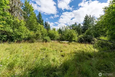28909 State Route 706, Ashford, WA 98304 - Photo 13