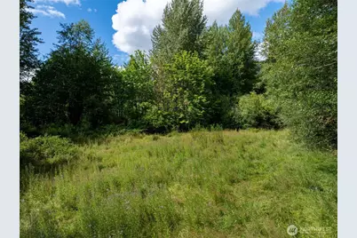 28909 State Route 706, Ashford, WA 98304 - Photo 23
