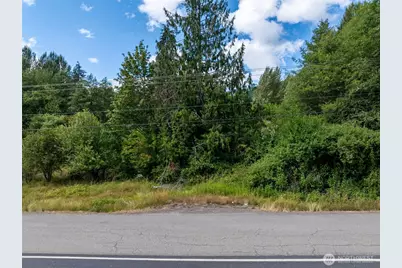 28909 State Route 706, Ashford, WA 98304 - Photo 15