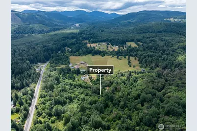 28901 State Route 706, Ashford, WA 98304 - Photo 5
