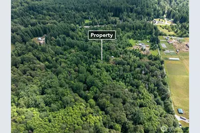 28901 State Route 706, Ashford, WA 98304 - Photo 9