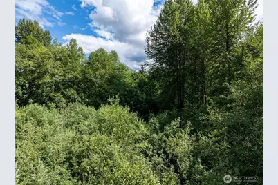28901 State Route 706, Ashford, WA 98304 - Photo 27