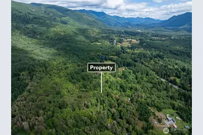 28901 State Route 706, Ashford, WA 98304 - Photo 7