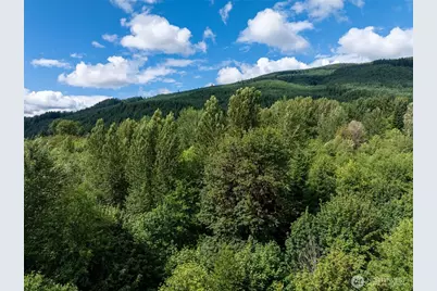 28901 State Route 706, Ashford, WA 98304 - Photo 15