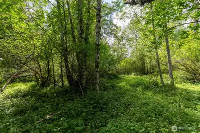 28901 State Route 706, Ashford, WA 98304 - Photo 3