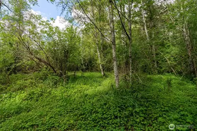 28901 State Route 706, Ashford, WA 98304 - Photo 23
