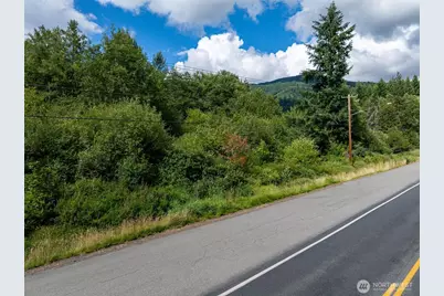 28901 State Route 706, Ashford, WA 98304 - Photo 29