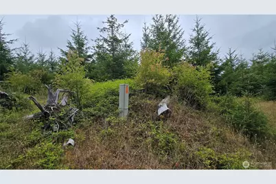 9207 Tract B Old Olympic Highway NW, Olympia, WA 98502 - Photo 13