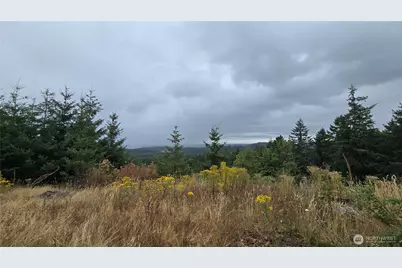 9207 Tract B Old Olympic Highway NW, Olympia, WA 98502 - Photo 19