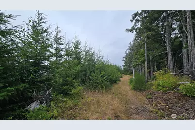 9207 Tract B Old Olympic Highway NW, Olympia, WA 98502 - Photo 3