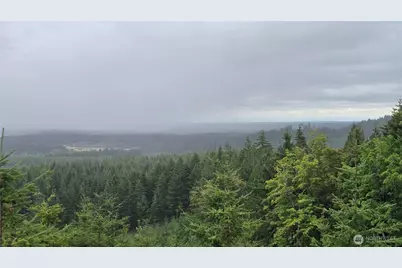 9207 Tract B Old Olympic Highway NW, Olympia, WA 98502 - Photo 21