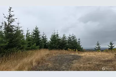 9207 Tract B Old Olympic Highway NW, Olympia, WA 98502 - Photo 17