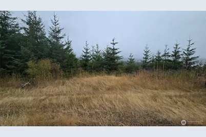 9207 Tract B Old Olympic Highway NW, Olympia, WA 98502 - Photo 27