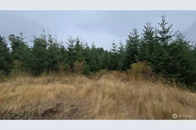 9207 Tract B Old Olympic Highway NW, Olympia, WA 98502 - Photo 1