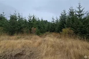 9207 Tract B Old Olympic Hwy NW, Olympia, WA 98502 - Photo 1