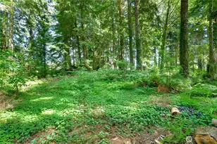 400 Fairway Dr, Aberdeen, WA 98520 - Photo 35