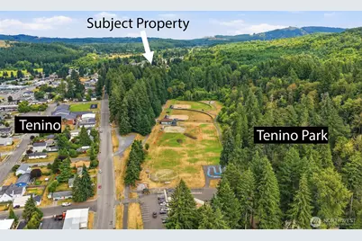 885 Washington Avenue E, Tenino, WA 98589 - Photo 25