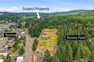 885 Washington Ave E, Tenino, WA 98589 - Photo 25