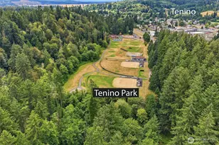885 Washington Ave E, Tenino, WA 98589 - Photo 23