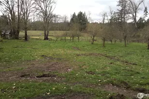 32022 8th Ave S, Roy, WA 98580 - Photo 11