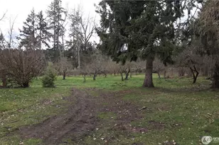 32022 8th Ave S, Roy, WA 98580 - Photo 9