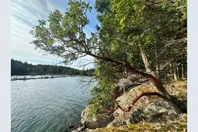 240 Old Midden Lane, Shaw Island, WA 98286 - Photo 23
