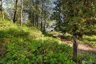 7549 Kickerville Rd, Blaine, WA 98230 - Photo 33