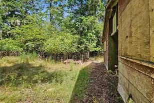 310 Washington St, Quilcene, WA 98376 - Photo 23