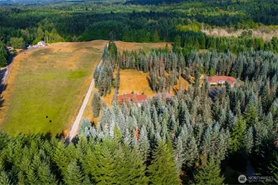 212 156th Lane SE, Tenino, WA 98589 - Photo 25