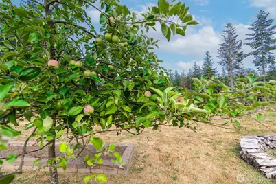 212 156th Lane SE, Tenino, WA 98589 - Photo 23