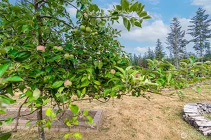 212 156th Ln SE, Tenino, WA 98589 - Photo 23